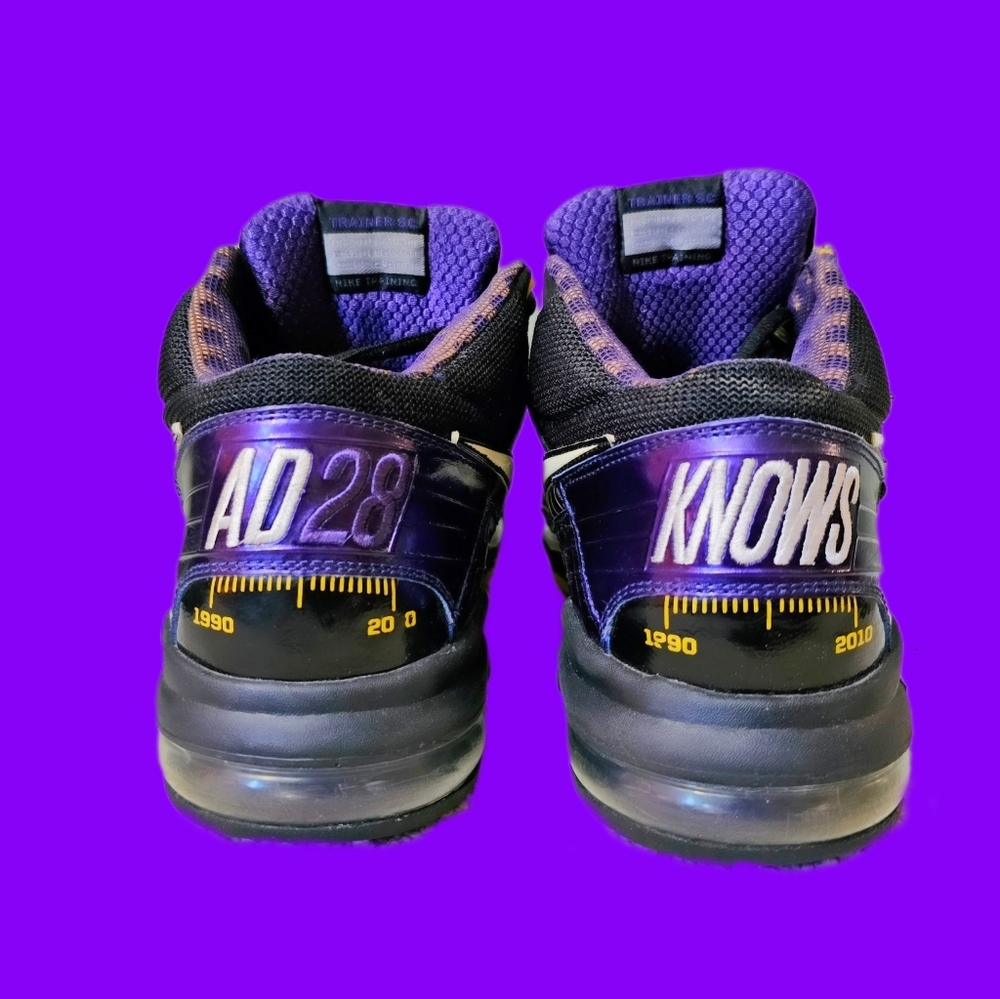 Air Trainer SC 2010 Premium 'Adrian Peterson - All Day Knows